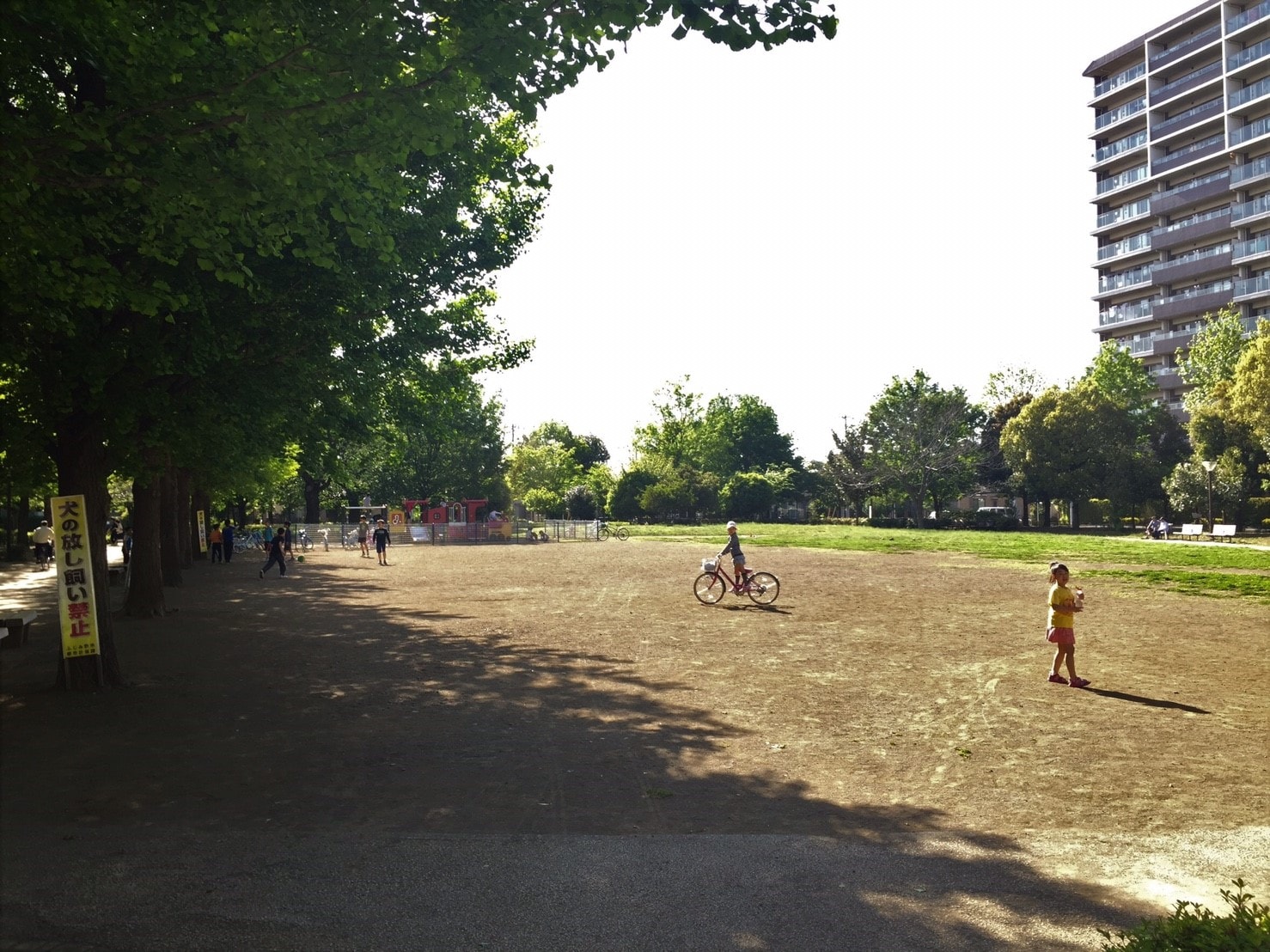 子供が遊んでいる大きな公園