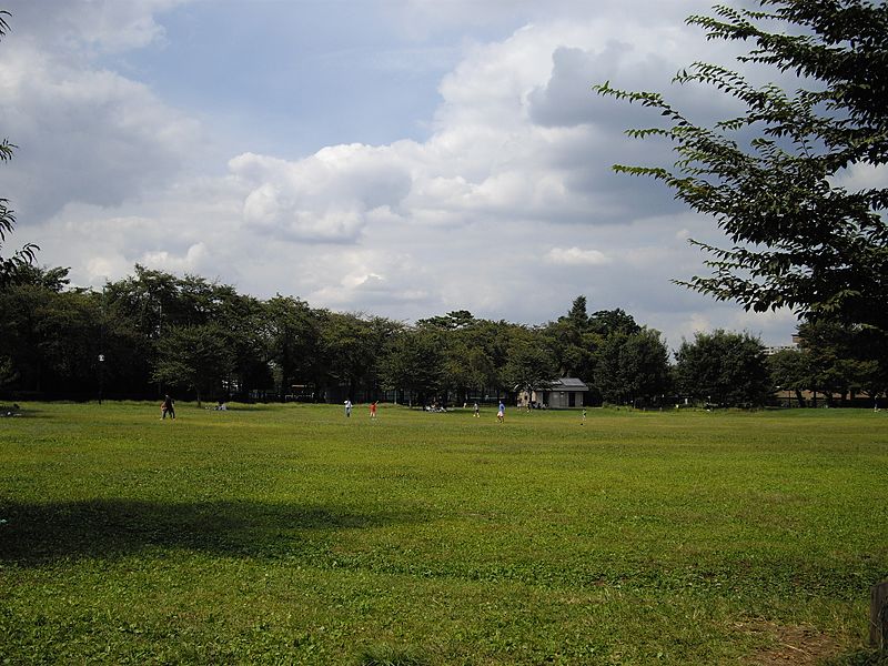 柏の宮公園
