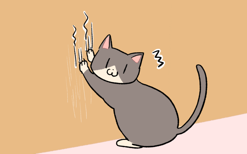 爪を研ぐ猫