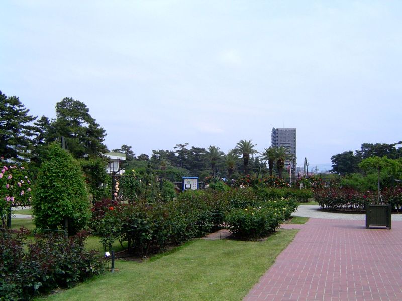 浜寺公園の風景