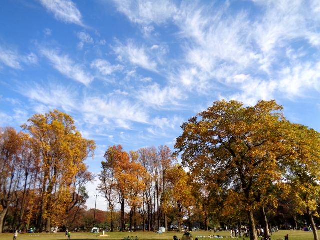 小金井公園の風景