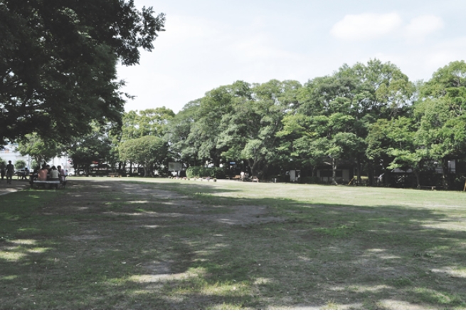 柿田川公園の広場の様子