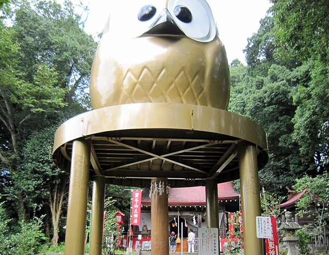 日本一の大フクロウ