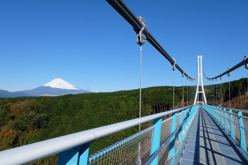 三島スカイウォークの吊橋と富士山