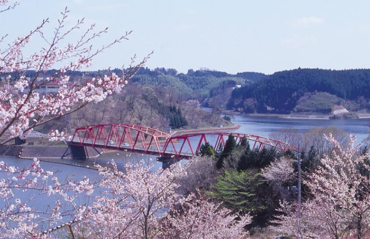 長柄ダムと桜の光景