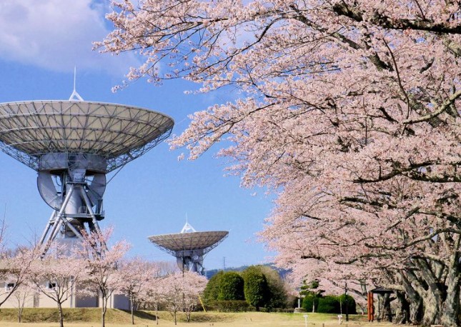 さくら宇宙公園