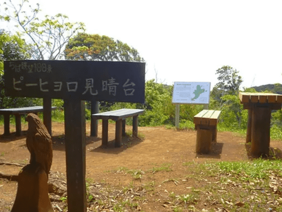館山野鳥の森の展望台