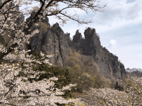 下仁田町の山々と桜の風景