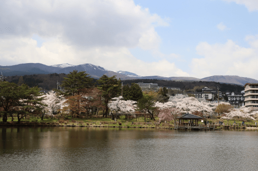 二本松市の桜と川の風景