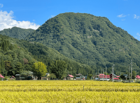 福島県昭和村の山と家の風景