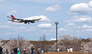 成田市内を飛ぶ飛行機と桜