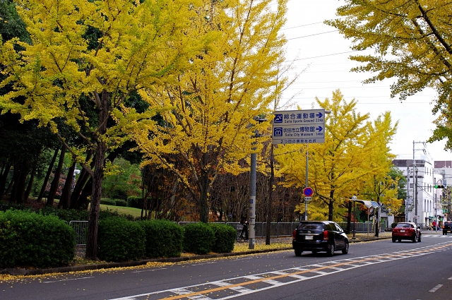 大阪で住みたくない街ランキング9位の吹田の写真