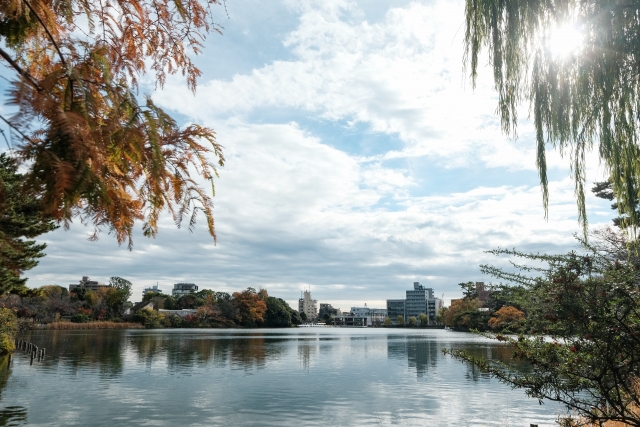 洗足池公園