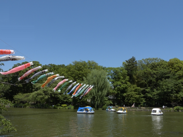 善福寺公園のイメージ