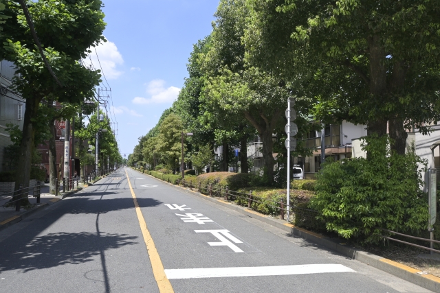 世田谷ユリの木通り