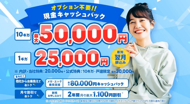メガ・エッグの正規代理店はNEXT