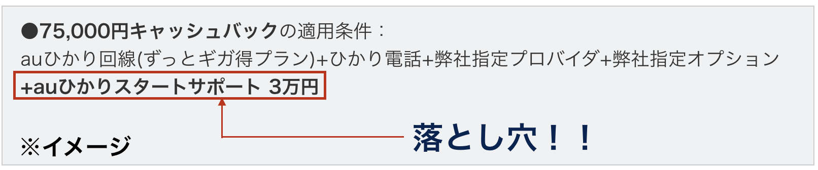 auひかり キャッシュバック条件2