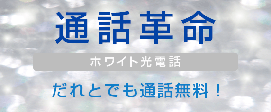 ソフトバンク光 オプション ホワイト光電話