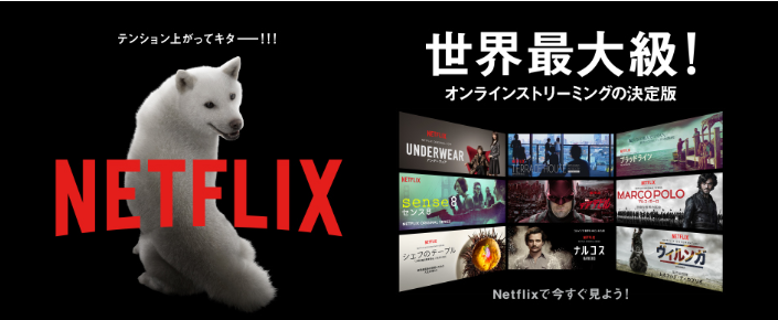 ソフトバンク光 オプション Netflix