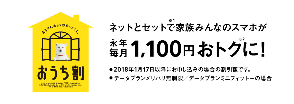 おうち割 光セット