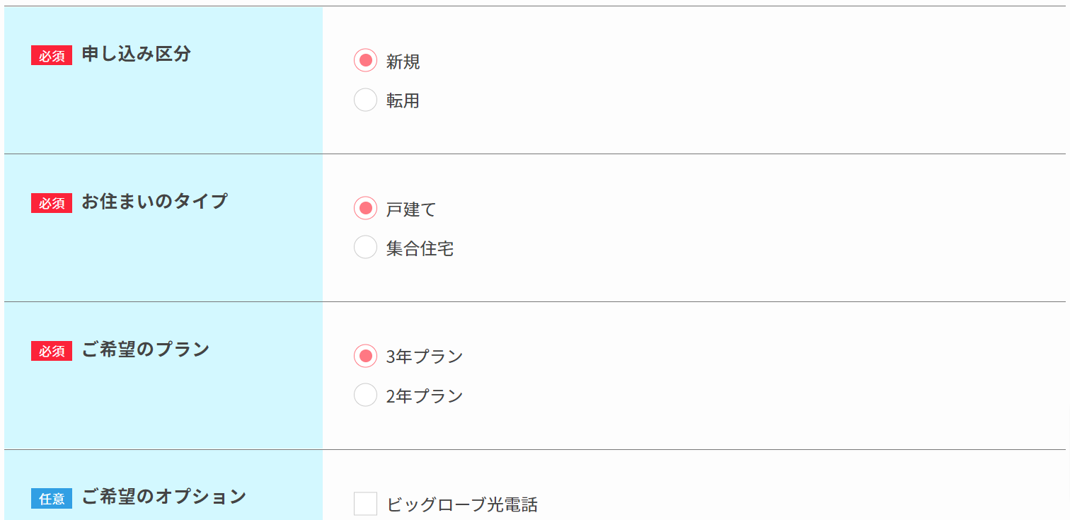 ビッグローブ光-お申し込みフォーム1