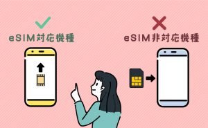 h3-eSIM対応機種以外は使えない