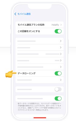 Holaflyデータローミング