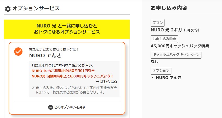NURO光特設サイトからの申し込み手順③：必要なオプションサービスを選択する