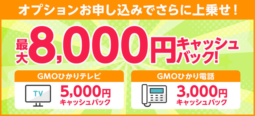 GMOとくとくBB光_オプション加入で最大8,000キャッシュバック