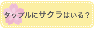 タップルにサクラはいる？