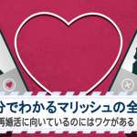 1分でわかるマリッシュの全て｜再婚活に向いているのにはワケがある！