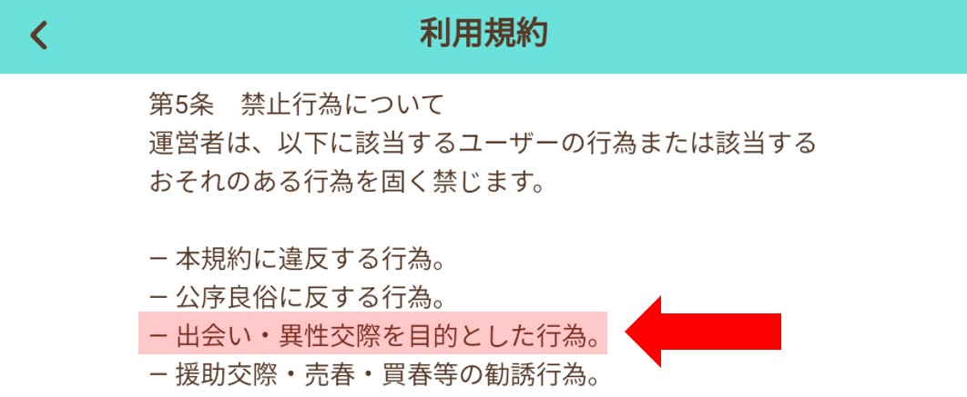 利用規約で出会い行為を禁止している