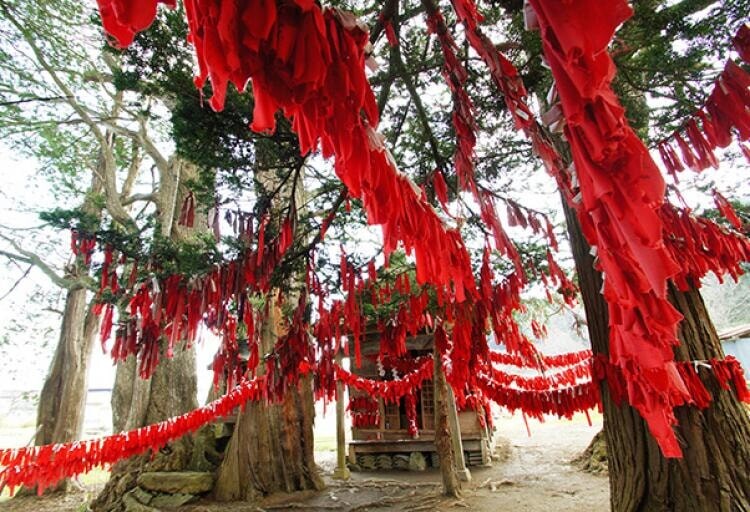 卯子酉神社