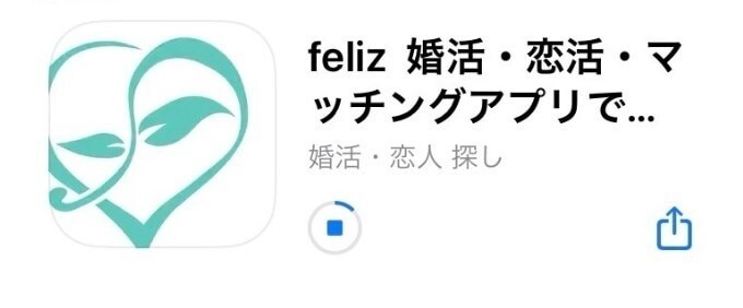 felizをインストール