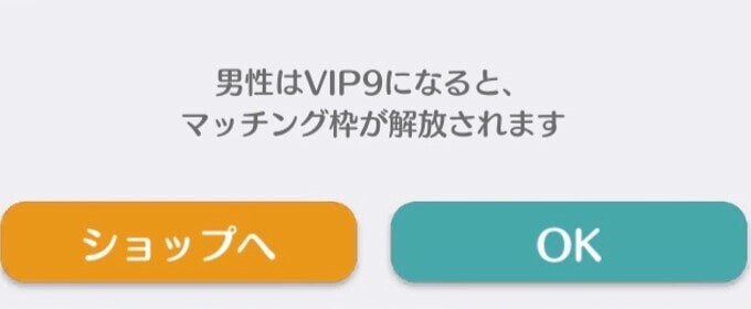 VIP特典でマッチング枠が増やせる