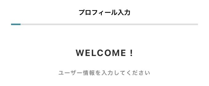 プロフィール入力