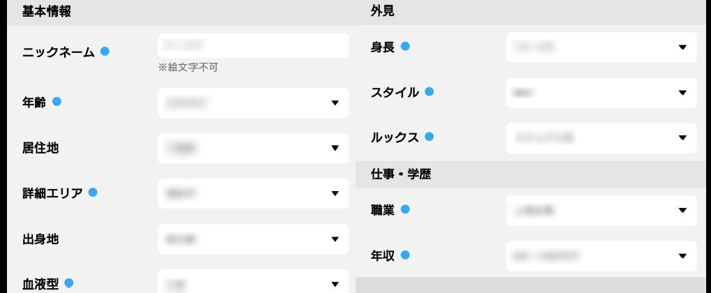 プロフィール項目を全て埋めている画面
