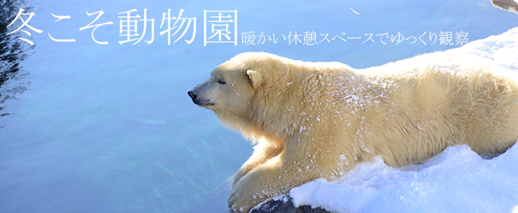 札幌市円山動物園