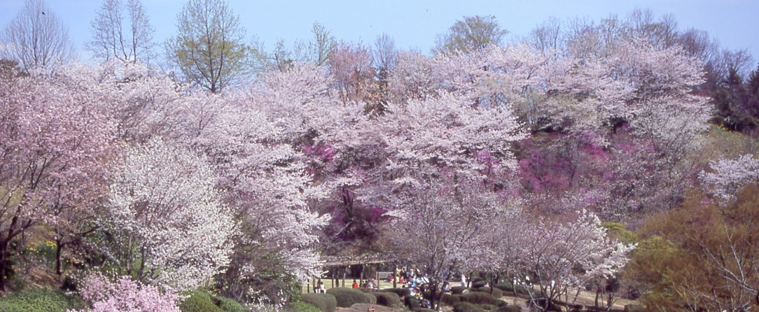 広島市植物園