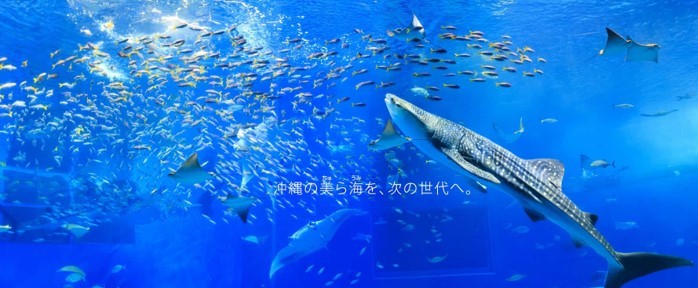 美ら海水族館