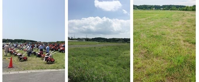 芝生広場キャンプサイト