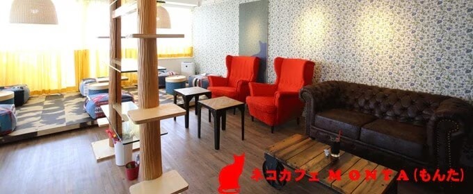 猫カフェモンタ店内写真