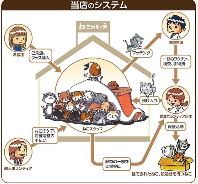 ねこ達の家のシステムを解説した画像