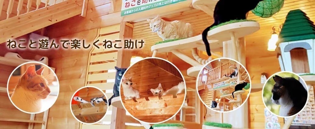ねこ達のいえトップバナー