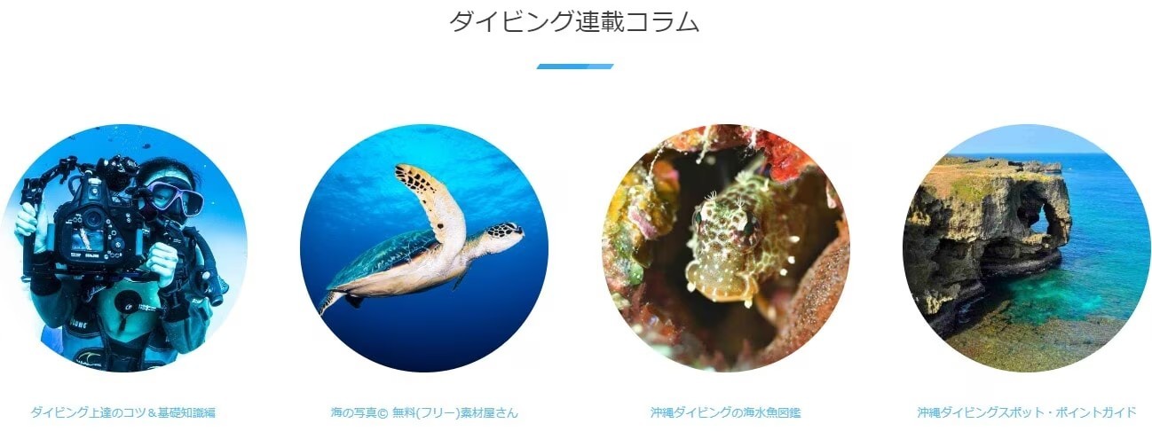 ダイビング連載コラム
