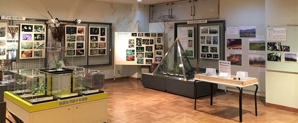 森のふれあい館の常設展の画像