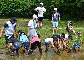 白井市の農業体験