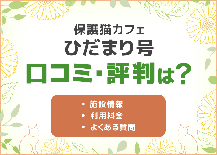 保護猫カフェ「ひだまり号」の口コミ・評判は良い?デートにおすすめ!