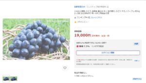豊丘村返礼品
